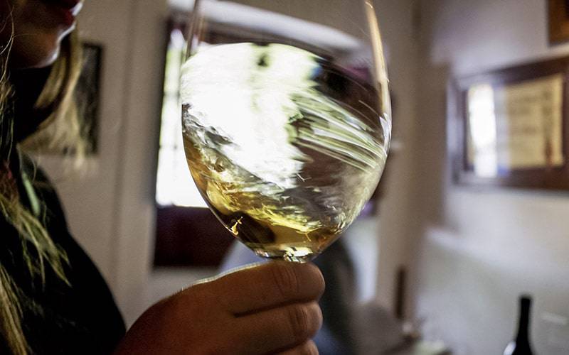 Consumir entre 1 a 2 copos de vinho/dia aumenta risco de cancro