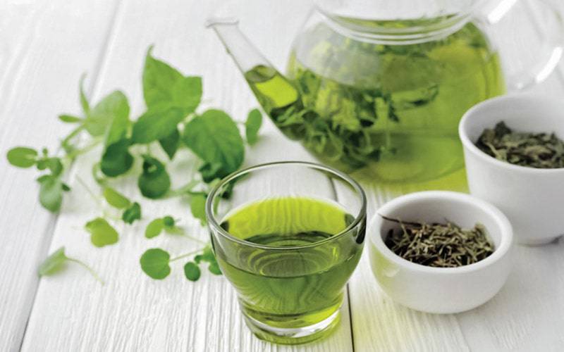Chá verde contém propriedades anticancerígenas