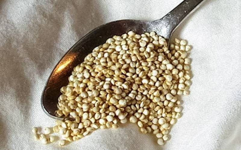 Consumo de quinoa beneficia saúde metabólica
