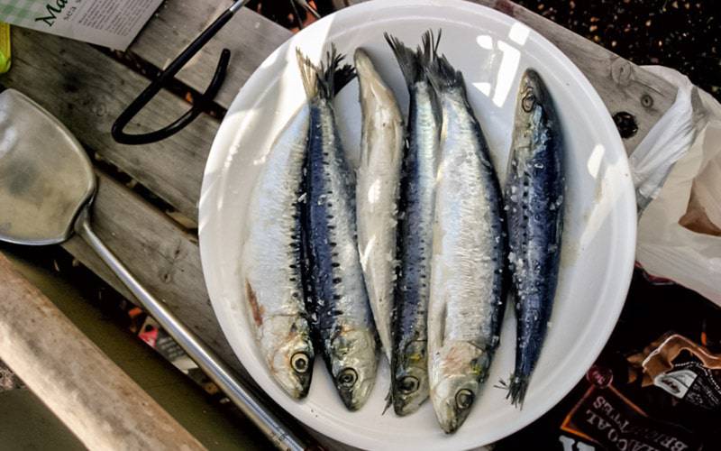 Consumo de sardinhas protege contra diabetes tipo 2