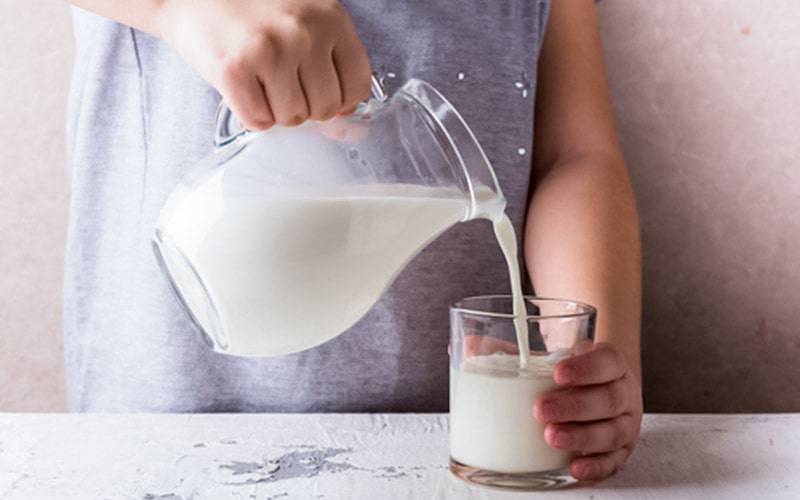 Consumo regular de leite não aumenta níveis de colesterol
