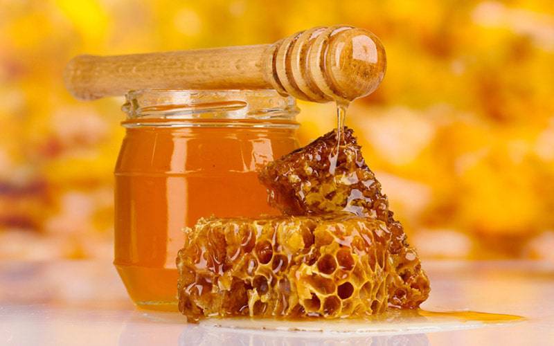 Açúcar presente no mel remove gordura nas artérias