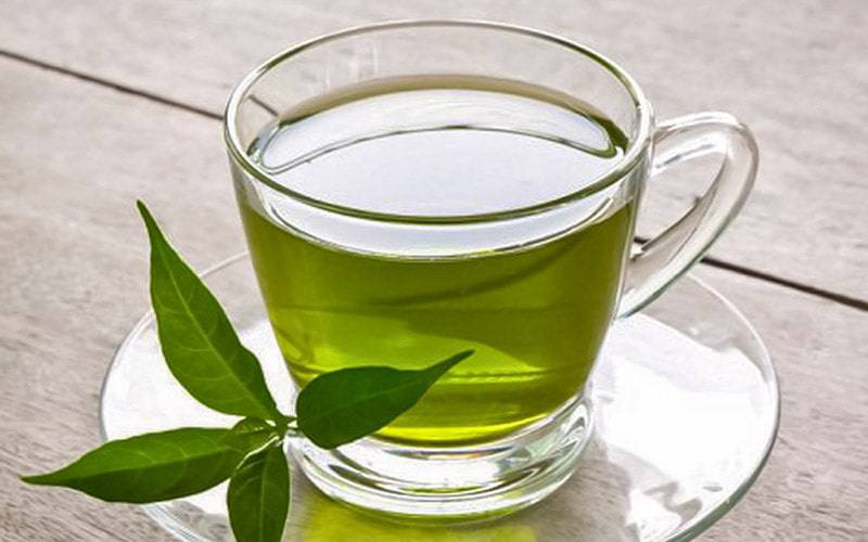 Chá verde contribui para queima de calorias