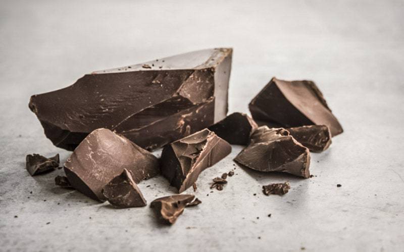 Chocolate negro melhora desempenho cognitivo