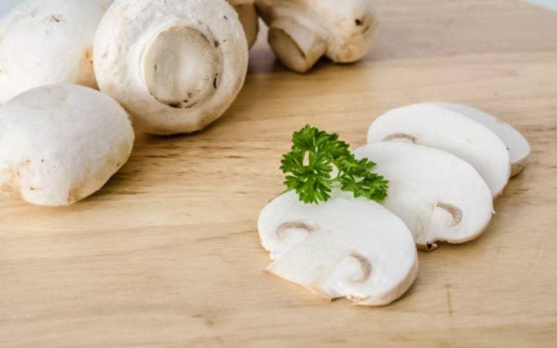 Cogumelos brancos aumentam longevidade