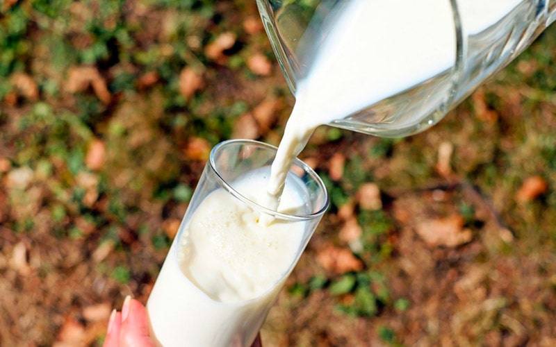 Ingestão de leite não está ligada a níveis elevados de colesterol