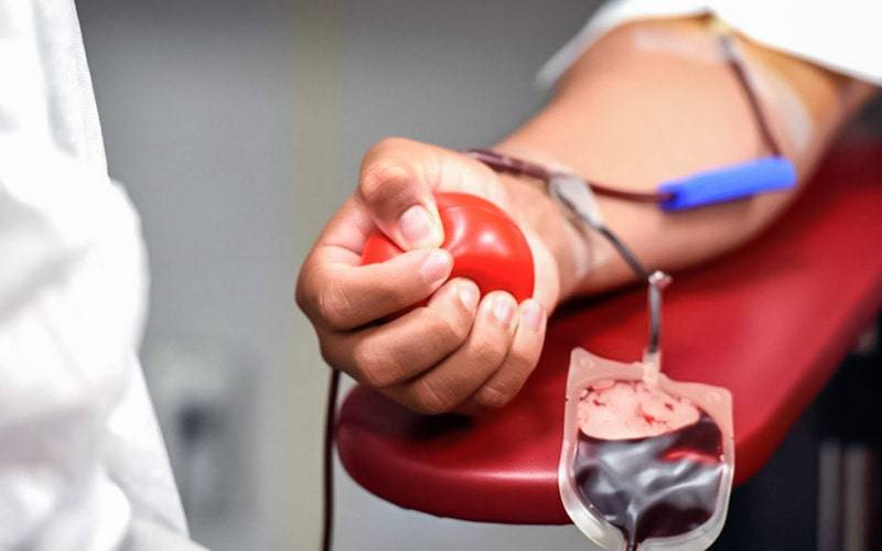 IPO de Lisboa: dadores de sangue já podem agendar dádiva no site