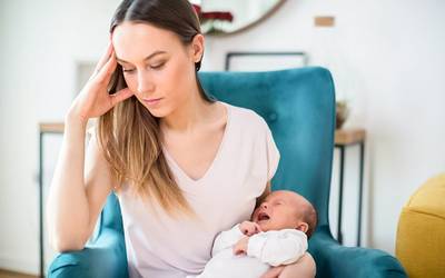 Mirtilos previnem depressão pós-parto