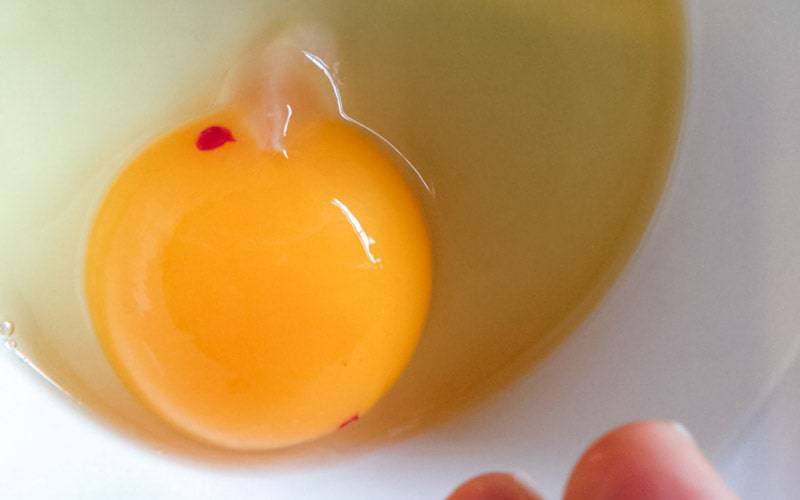 As pequenas manchas de sangue nos ovos fazem mal?