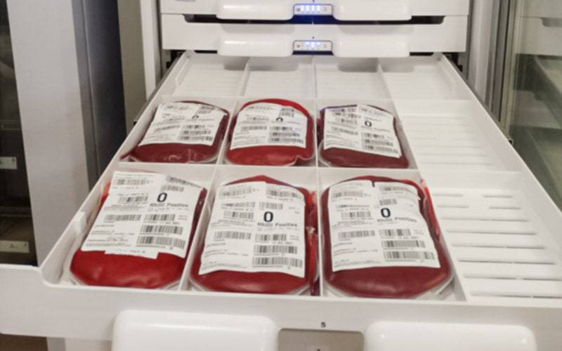 HDS atribui “identidade digital” às unidades de sangue doadas