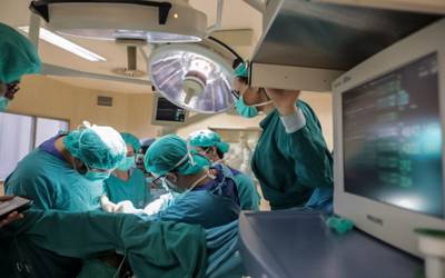 Quase 370 órgãos transplantados no primeiro semestre de 2021