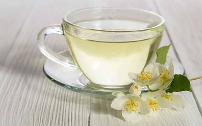 Chá branco protege contra perda óssea