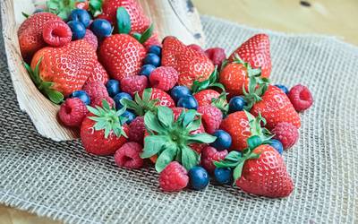Frutos vermelhos promovem saúde cerebral