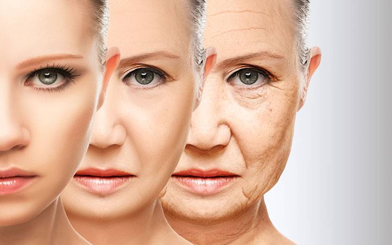 Novo tratamento celular pode combater envelhecimento