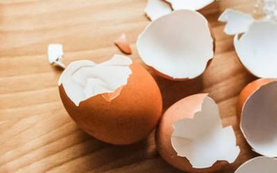 Casca de ovo dá origem a nova geração de preenchedores dérmicos