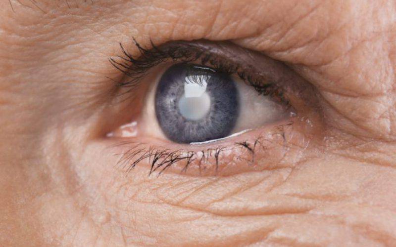 Células estaminais: perda de visão por glaucoma pode ser evitada