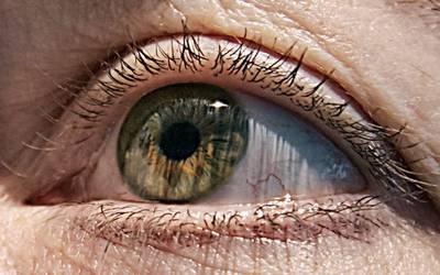 Idade biológica da retina pode indicar risco de morte precoce