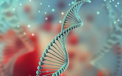 Teste único de ADN identifica 50 doenças genéticas raras