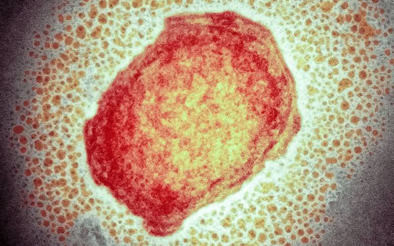 Varíola dos macacos: o que se sabe sobre esta doença rara