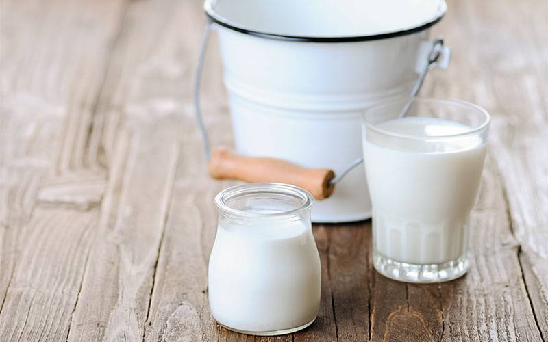Fome e doenças podem ter impulsionado tolerância à lactose