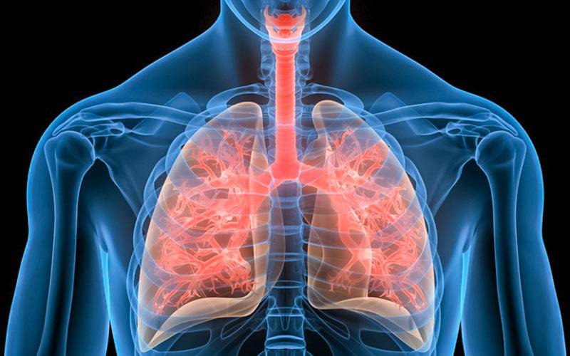 Novo biomarcador acelera a identificação de doenças pulmonares