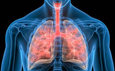 Novo biomarcador acelera a identificação de doenças pulmonares
