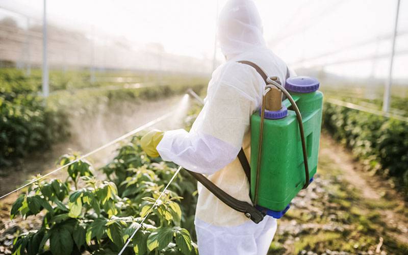 Exposição a herbicida comum pode causar DII