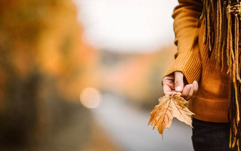 Fica mais triste ou ansioso no outono? Conheça a razão