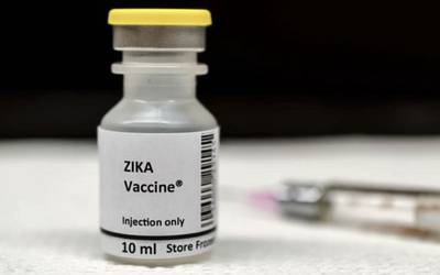 Zika: nova vacina revela-se promissora em modelos animais