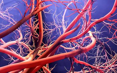 Nova biotinta capaz de construir vasos sanguíneos fisiológicos