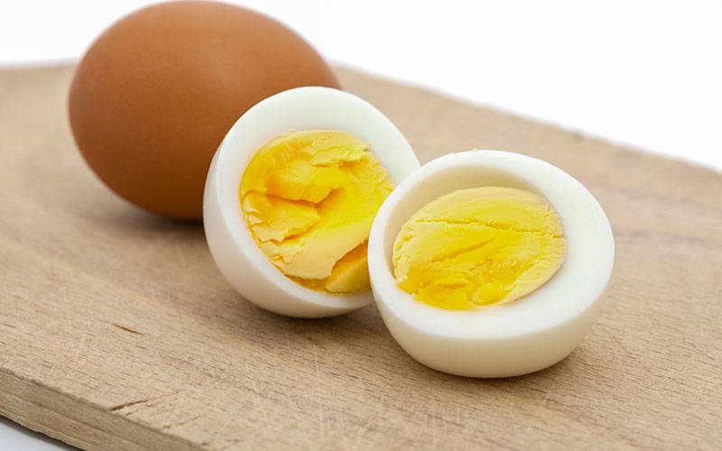Cérebro: ovos podem melhorar função cognitiva