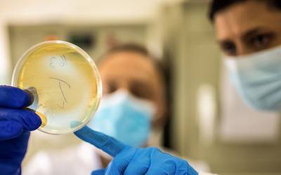 Novo material pode proteger contra bactérias resistentes