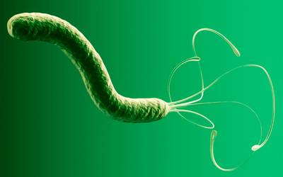 H. pylori: uma bactéria que pode viver durante anos no estômago