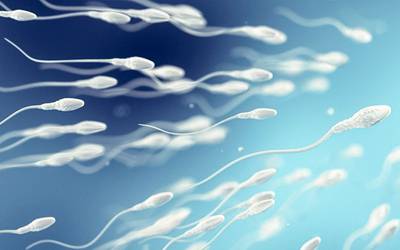 Nova tecnologia seleciona espermatozoides mais saudáveis para FIV