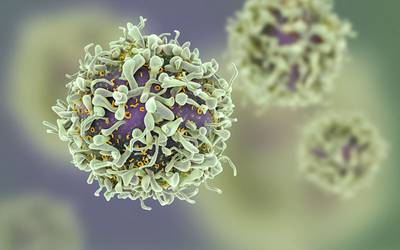 Cientistas descobrem novos detalhes sobre doença imune rara