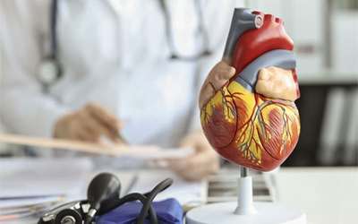 Identificadas mutações que causam defeitos cardíacos congénitos
