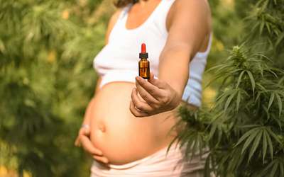 Uso de canabidiol durante a gravidez pode afetar cérebro do feto