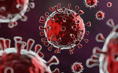 Covid: sem proteínas essenciais o vírus não pode infetar pessoas