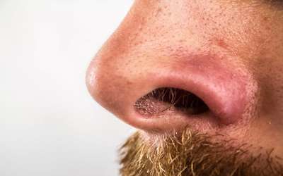 Estudo revela que cada narina tem um olfato único