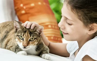 Esquizofrenia: crianças com gatos têm mais do dobro do risco