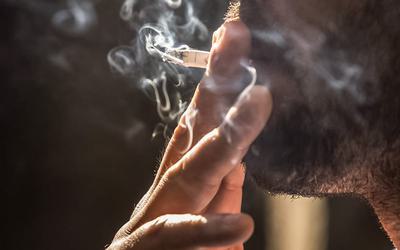 Estudo revela que fumar pode levar à retração do cérebro