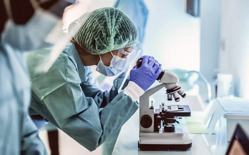 Antibióticos revelam nova forma de combater o cancro Antibióticos revelam nova forma de combater o cancro