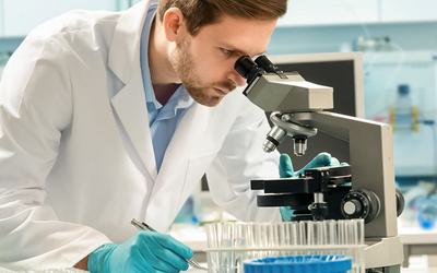 Ferramenta química ilumina vias usadas pela dopamina e opioides
