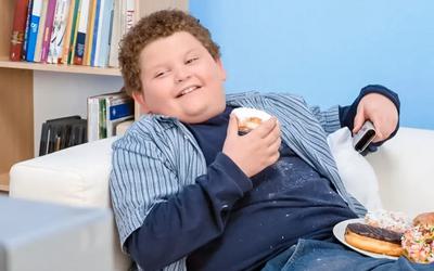 Obesidade infantil pode estar ligada à falta de ferro