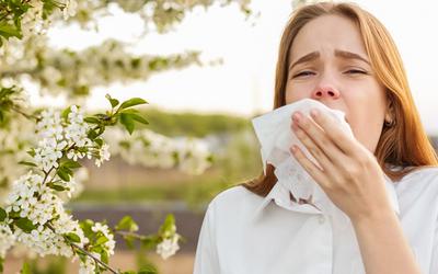 Tem alergia ao pólen? Conheça as dicas para a enfrentar