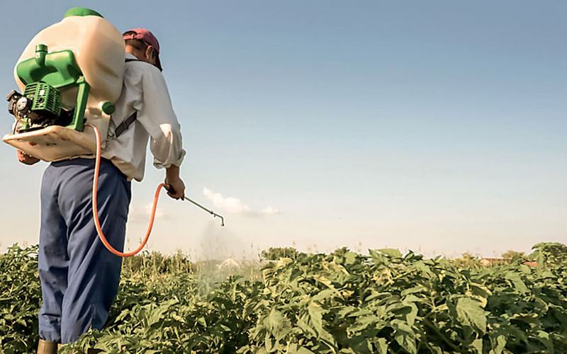 Risco de cancro causado por pesticidas comparável ao do tabagismo Risco de cancro causado por pesticidas comparável ao do tabagismo