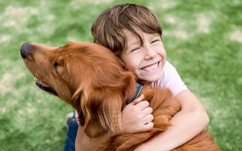 Crescer com um cão pode ser benéfico para a saúde intestinal Crescer com um cão pode ser benéfico para a saúde intestinal