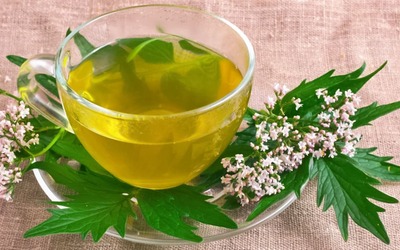 Valeriana promove relaxamento muscular e é eficaz contra insónias