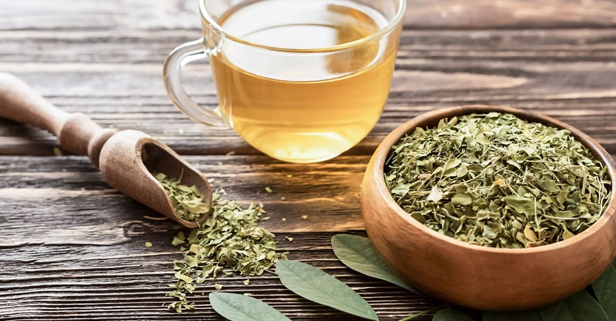 Notícias - Infusão de louro é benéfica para o sistema digestivo