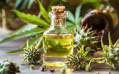Óleo de rícino: um ingrediente natural para a pele e o cabelo